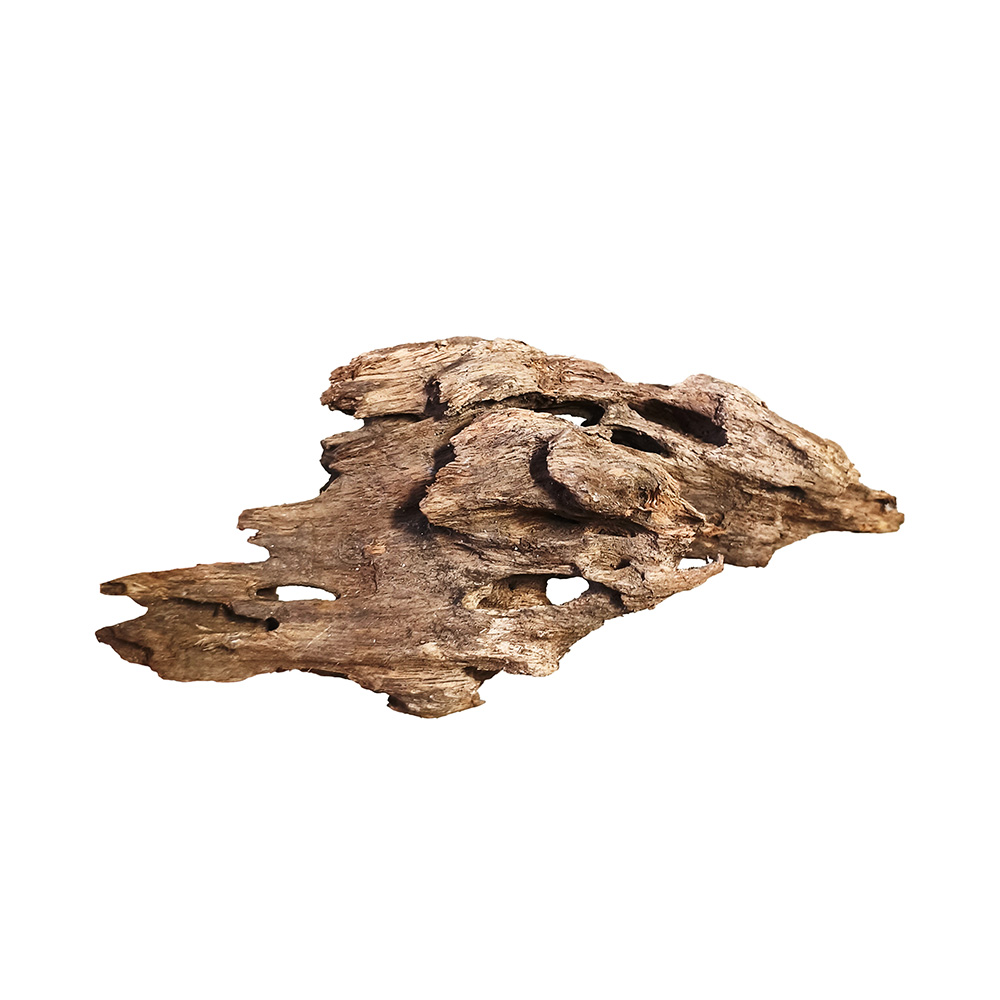Korzeń Dragon Wood Smoczy Korzeń S 15-20cm Dekoracja Akwarium Hardscape